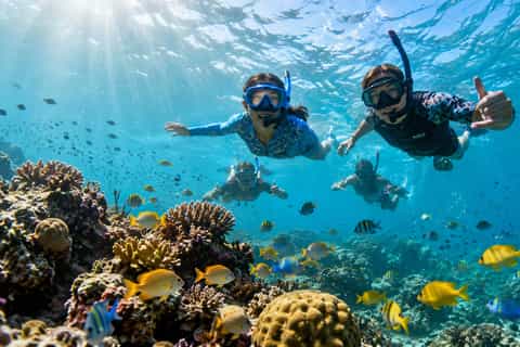 Hikkaduwa Coral Reefs