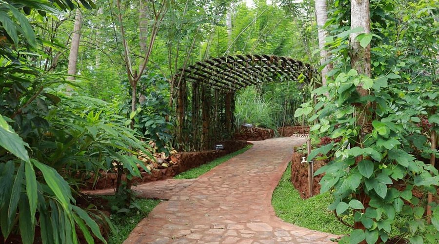 Spice Garden