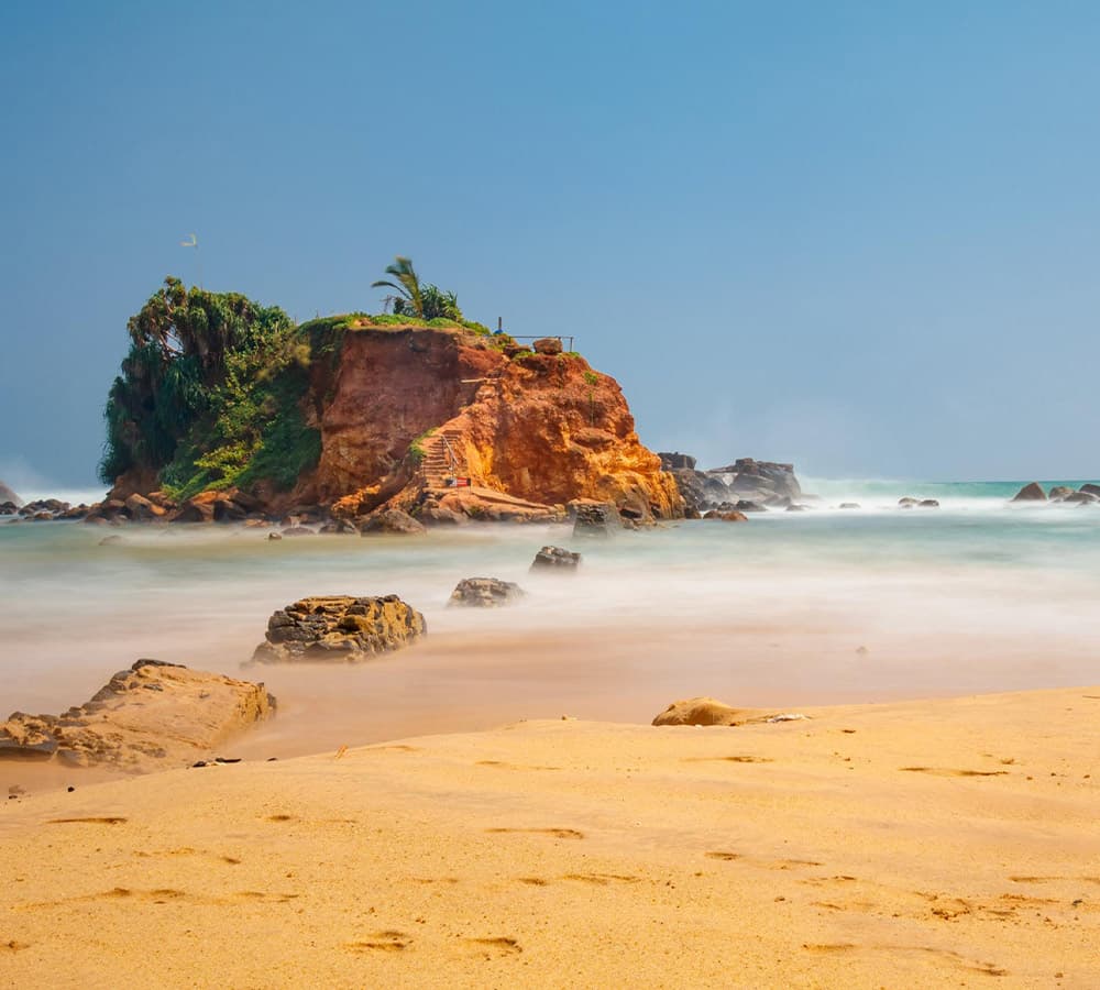 Parrot Rock